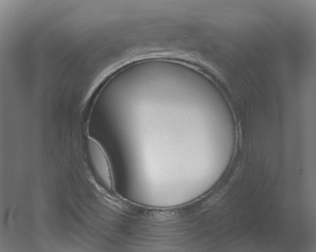 X0000051921501200506241115