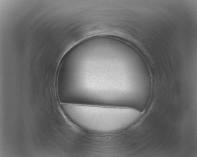 X0000051921513200506241116