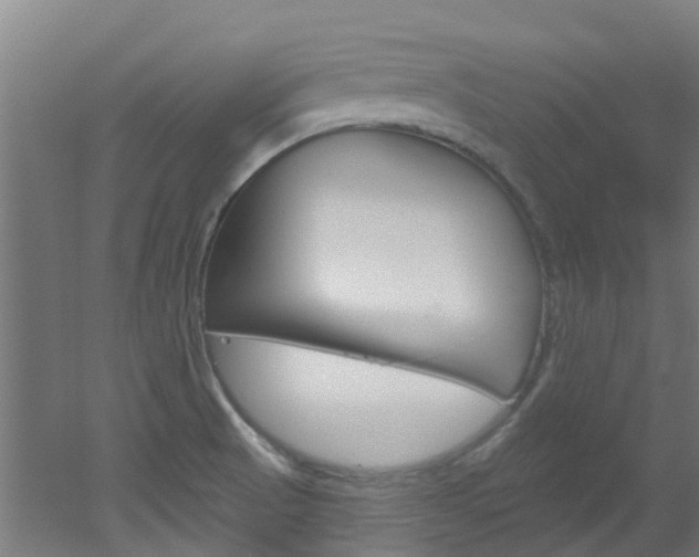 X0000051921521200506241116
