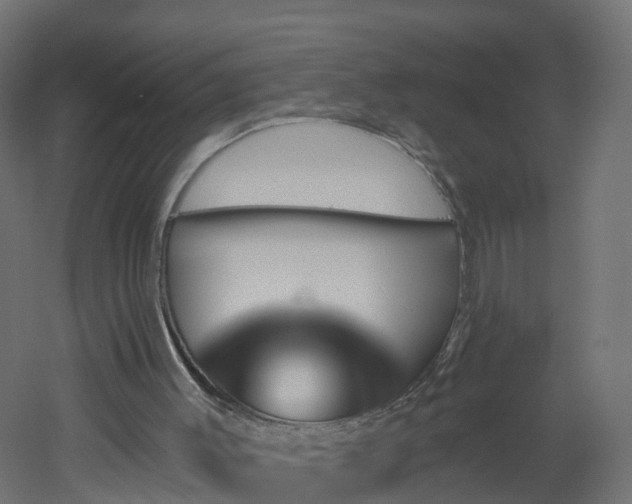 X0000051920003200506241521