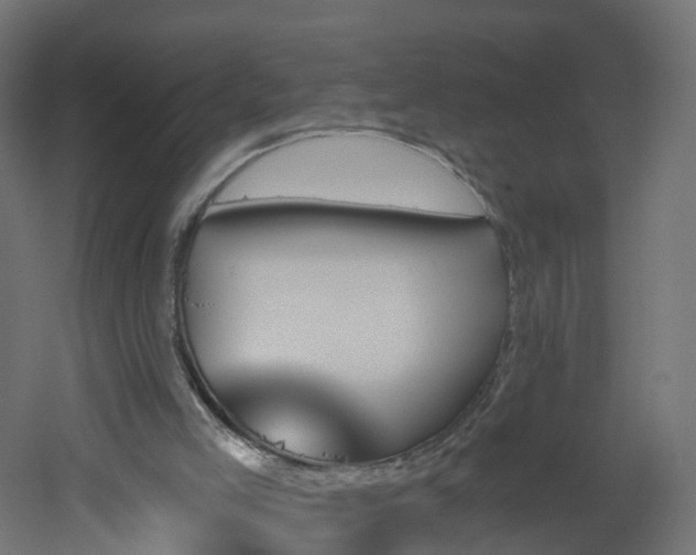 X0000051920005200506241521