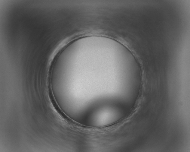 X0000051920007200506241521