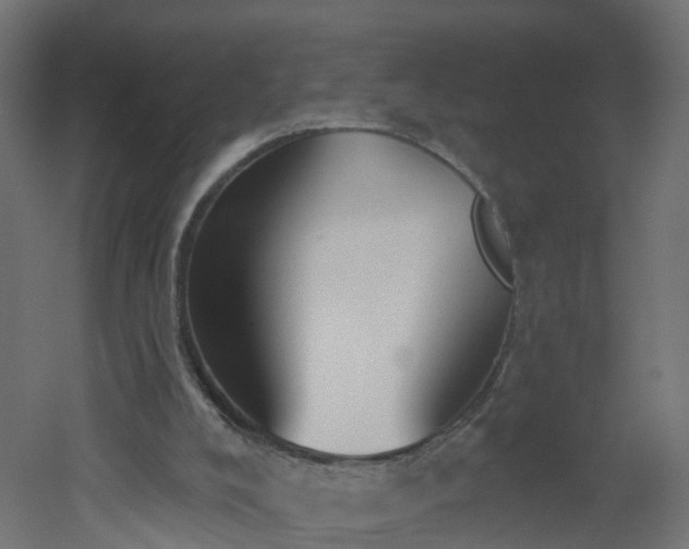 X0000051920008200506241521