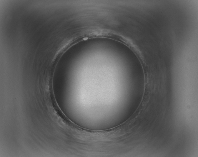 X0000051920010200506241521