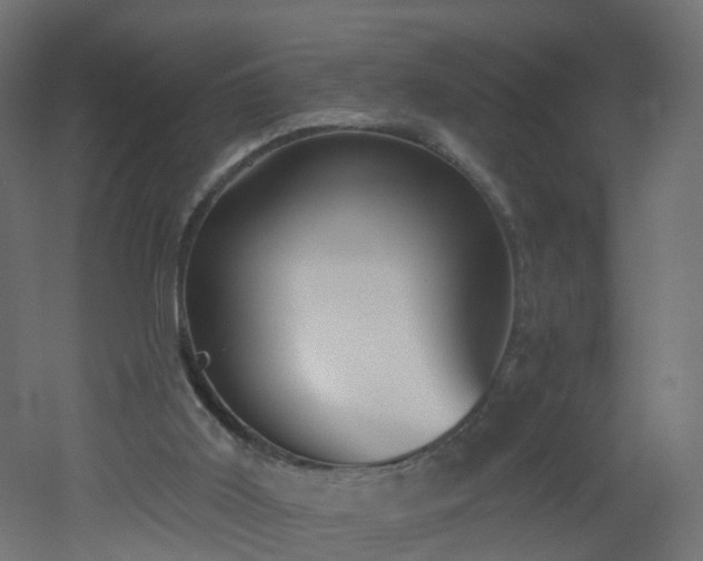 X0000051920011200506241521