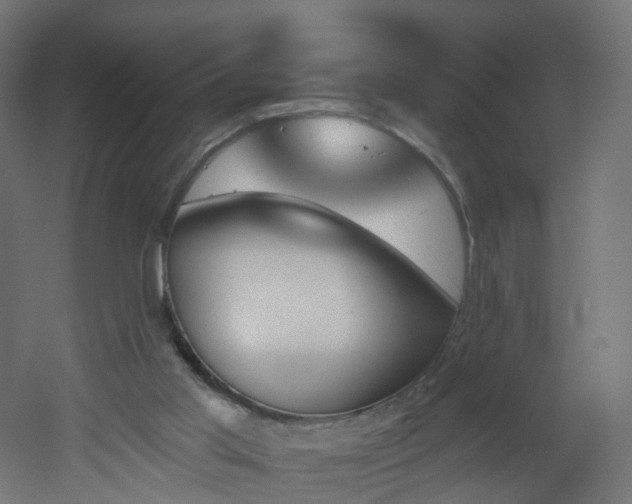 X0000051920013200506241521