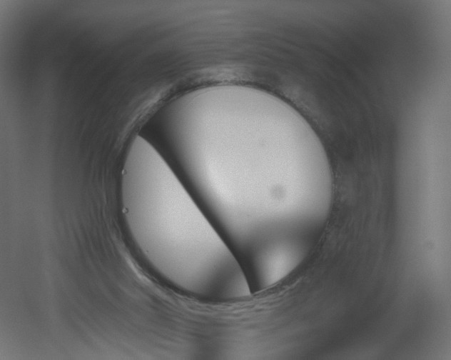 X0000051920014200506241521