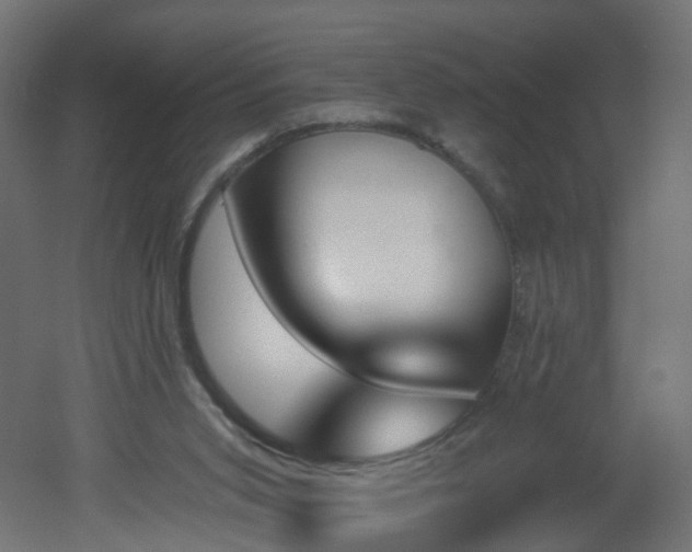 X0000051920015200506241521
