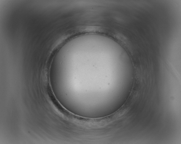X0000051920016200506241521