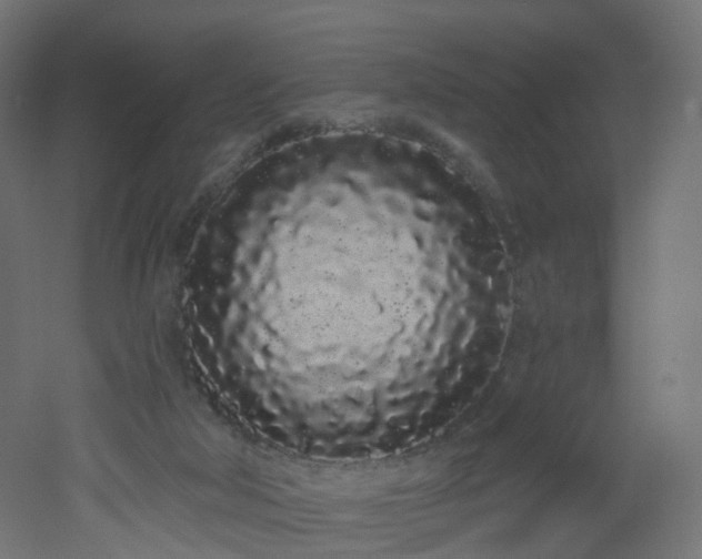 X0000051920018200506241521