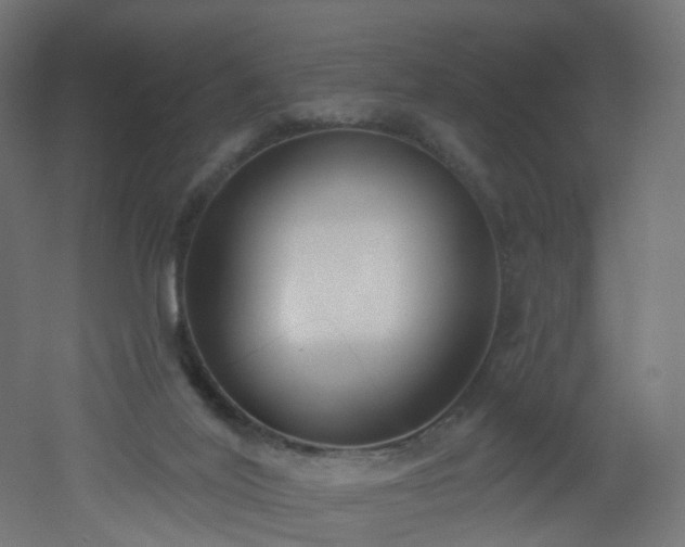 X0000051920020200506241521