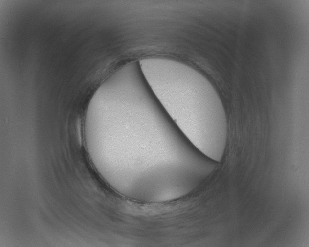 X0000051920022200506241521