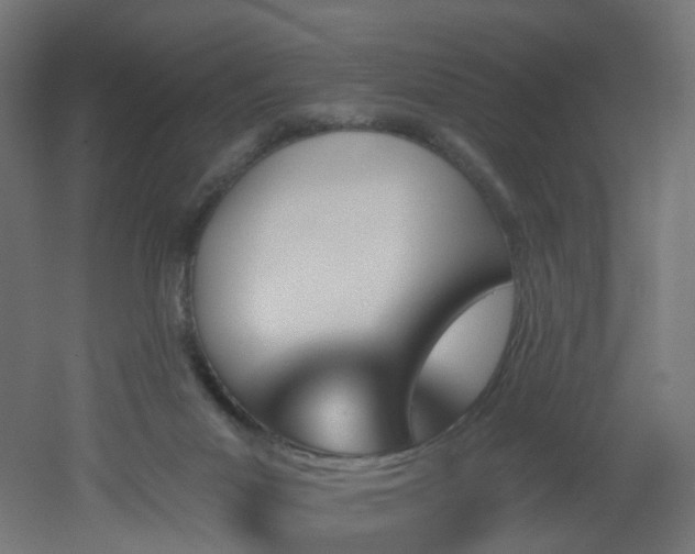 X0000051920023200506241521