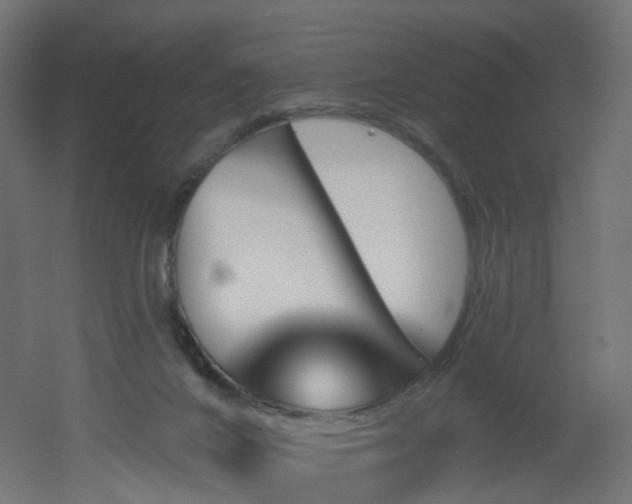 X0000051920024200506241521