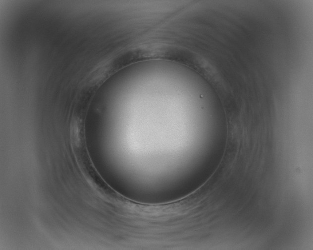 X0000051920026200506241521