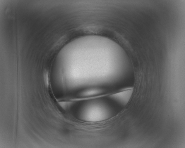 X0000051920027200506241521