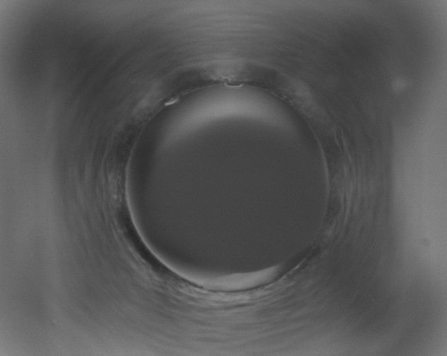 X0000051920031200506241520