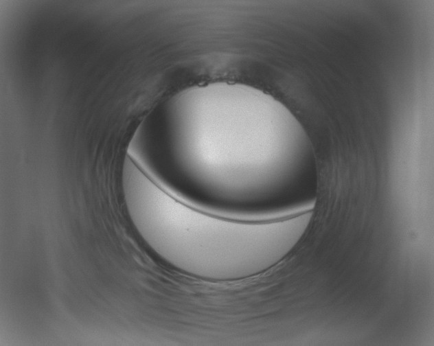 X0000051920039200506241520