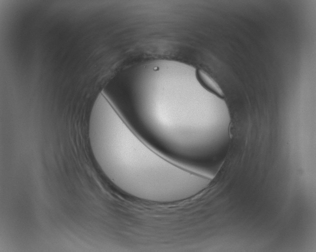 X0000051920040200506241520
