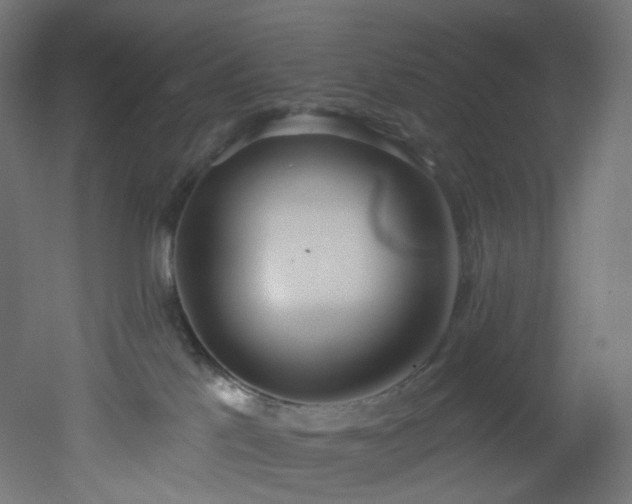 X0000051920041200506241520