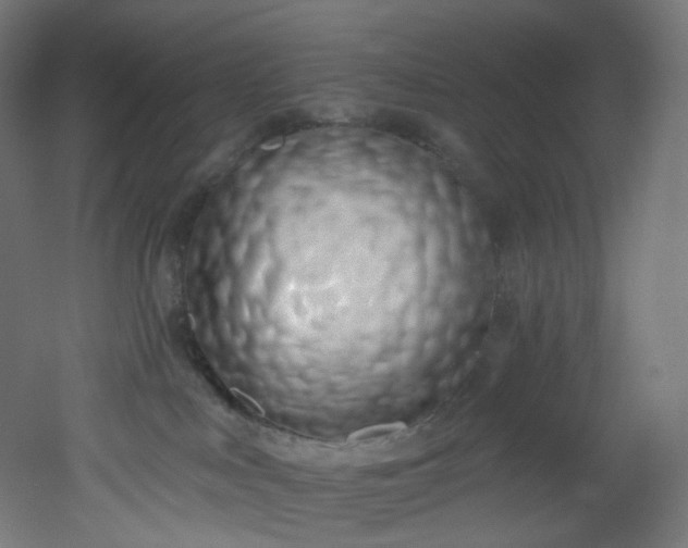 X0000051920043200506241520