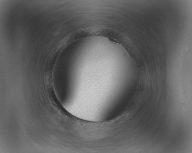 X0000051920044200506241520