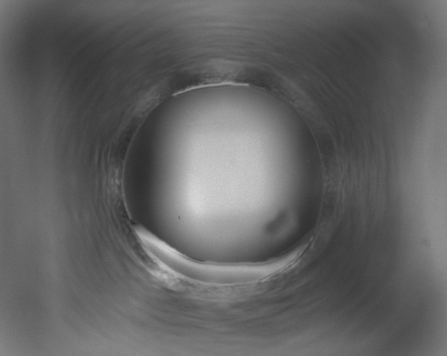 X0000051920045200506241520