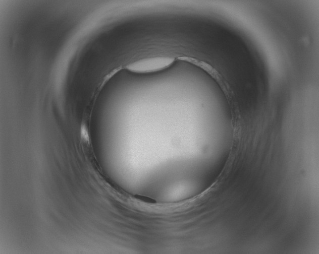 X0000051920047200506241520