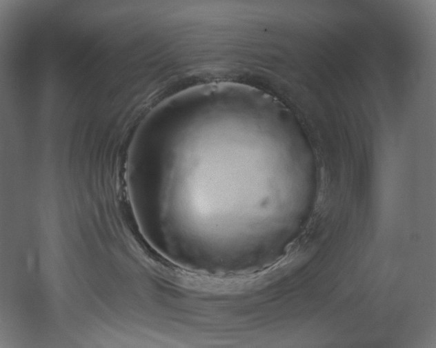 X0000051920048200506241520