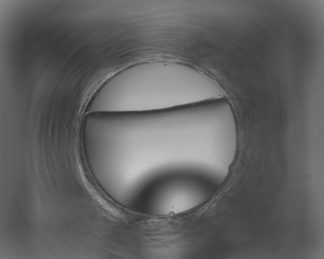 X0000051920049200506241519