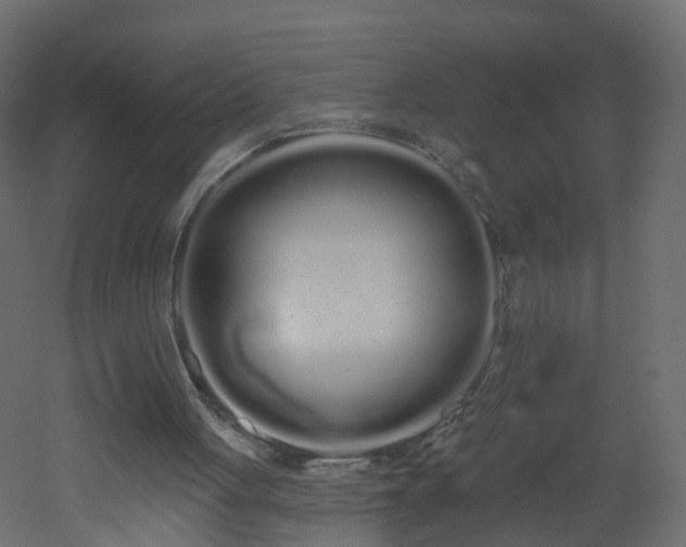 X0000051920051200506241519