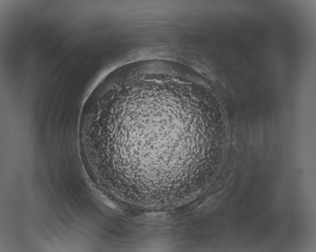 X0000051920052200506241519