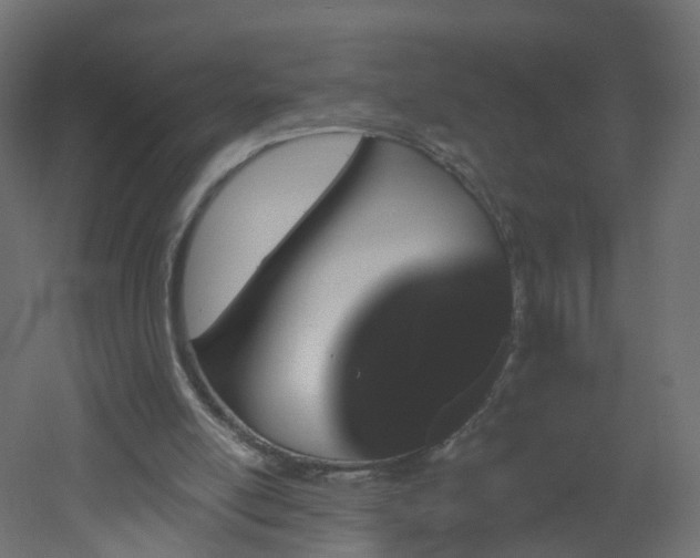 X0000051920054200506241519