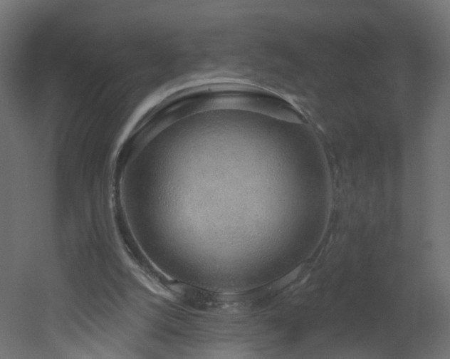 X0000051920056200506241519