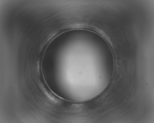 X0000051920057200506241519