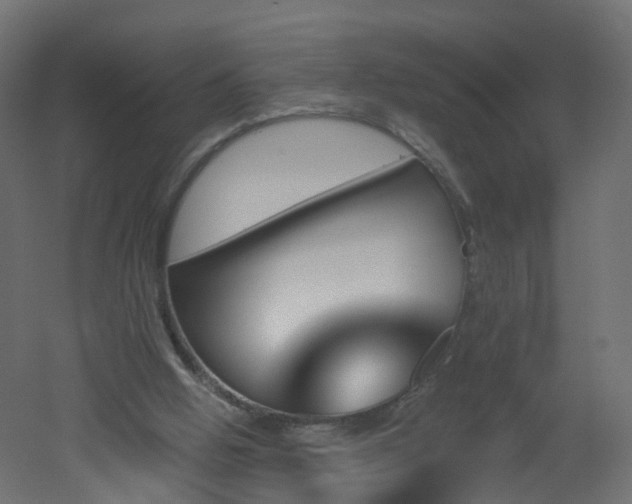 X0000051920058200506241519