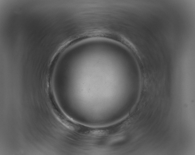 X0000051920059200506241519