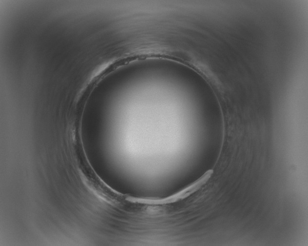 X0000051920060200506241520
