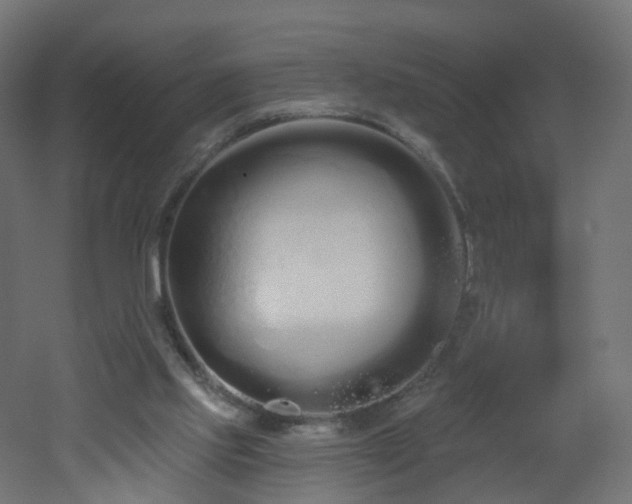 X0000051920061200506241520