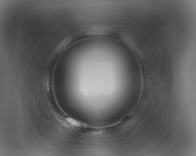 X0000051920068200506241520