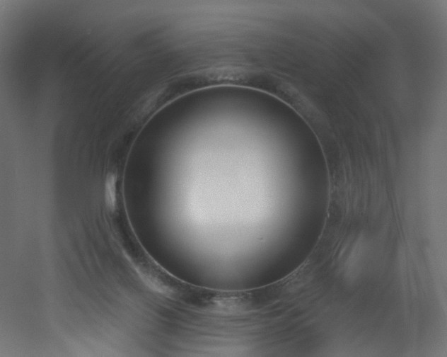 X0000051920070200506241520