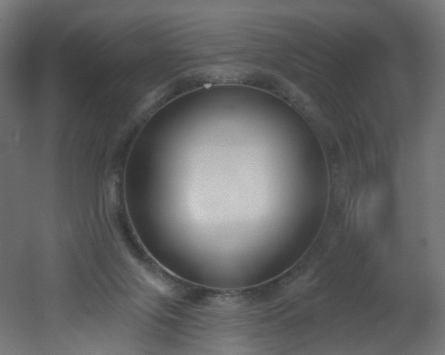 X0000051920071200506241520