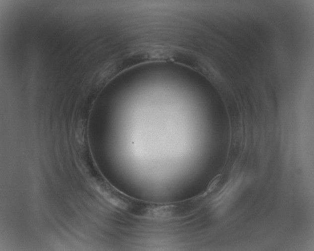 X0000051920078200506241520