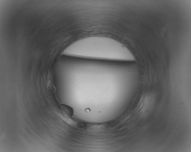X0000051920081200506241520