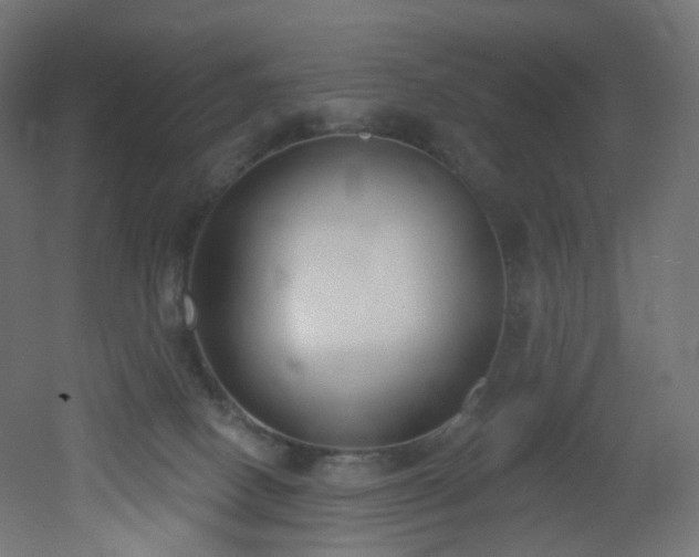 X0000051920082200506241520