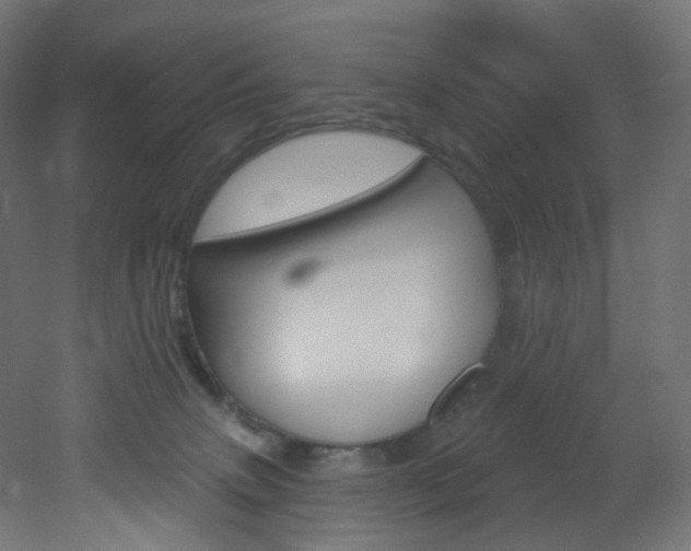 X0000051920083200506241520