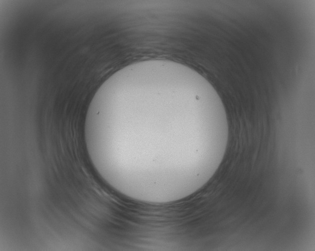 X0000051920084200506241520