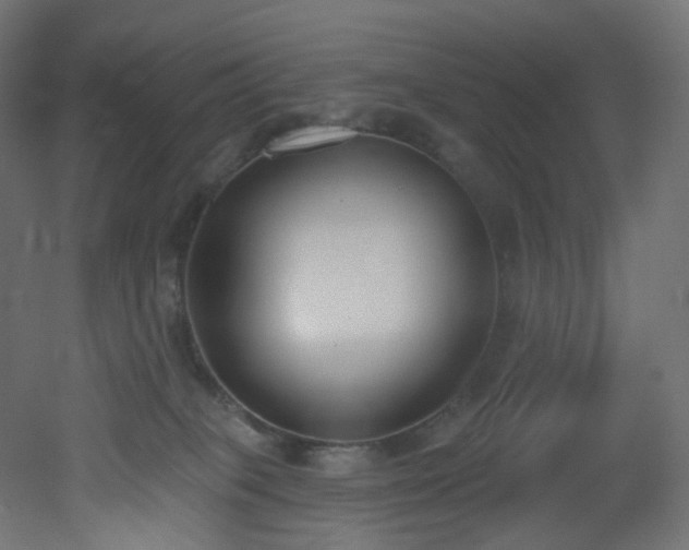 X0000051920085200506241520