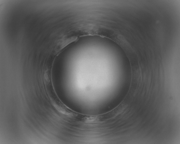 X0000051920088200506241520