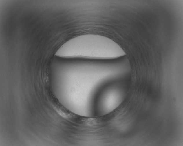 X0000051920091200506241520